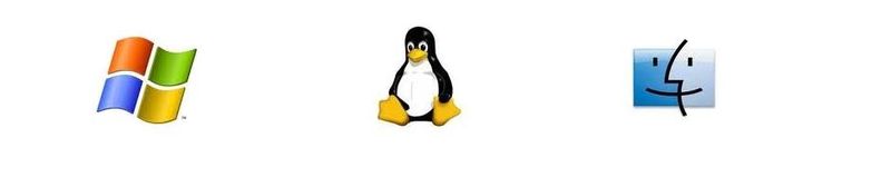 Cabecera del perfil público